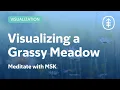 Meadow Visualization for Relaxation Meditate with MSK
