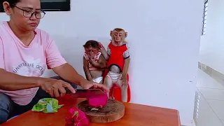 Kind Mother Cooking Food For Little Monkey