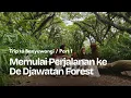 Lagu Trip to Banyuwangi #part1 - Perjalanan ke De Djawatan Forest Banyuwangi
