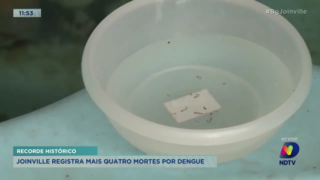 Recorde histórico: Joinville registra mais quatro mortes por dengue