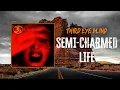 Download Lagu Third Eye Blind - Semi-Charmed Life | Lyrics