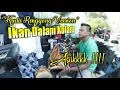 Download Lagu IKAN DALAM KOLAM KUDA RENGGONG VERSION - BALAD MUSIK | MIRA ARMAN FT CEU HENI