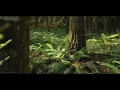 Ben Bahmer ft. Oh Wonder - The Sun  [131 bpm]