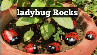 How to Paint Ladybug on Stone Rock Painted Rock craft Ganden Ideas
