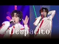Download Lagu [230819 The Light] 포레스텔라 ‘Despacito’ (강형호 focus) | Forestella