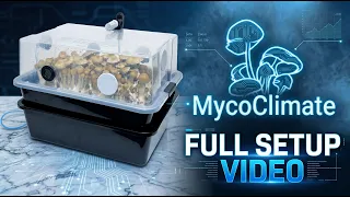 The MycoClimate Automated Monotub FULL Setup