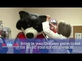 Denver Outlaws The Little Clinic Spot