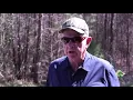 Berkeley County 202 Delinquent Tax Sale