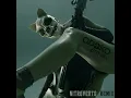 Kitty Girl (Nitroverts Remix)