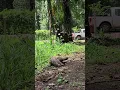 The Speed of a Sloth
