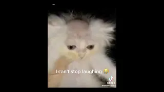 Memes I Found On The Internet Part 4 Funny Memes Shorts 