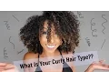 What Is Your Curly Hair Type 2A 3B 4C BiancaReneeToday