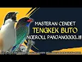 Download Lagu MASTERAN CENDET ISIAN TENGKEK BUTO NGEROLL PANJANG 100% MUDAH DITIRU..!!!