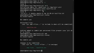 Git First Commit