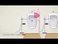 El urinario que no salpica: la espiral que ganó el Ig Nobel