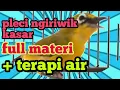 Download Lagu terapi pleci ngriwik kasar plus terapi air untuk pleci bahan.