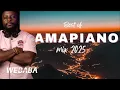 Download Lagu BEST OF AMAPIANO MIX 2025 | DJ WEBABA