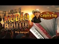 🤠 7 Modão Brabo dos Caipira Top – Pra Dançar, Beber e Sofrer!