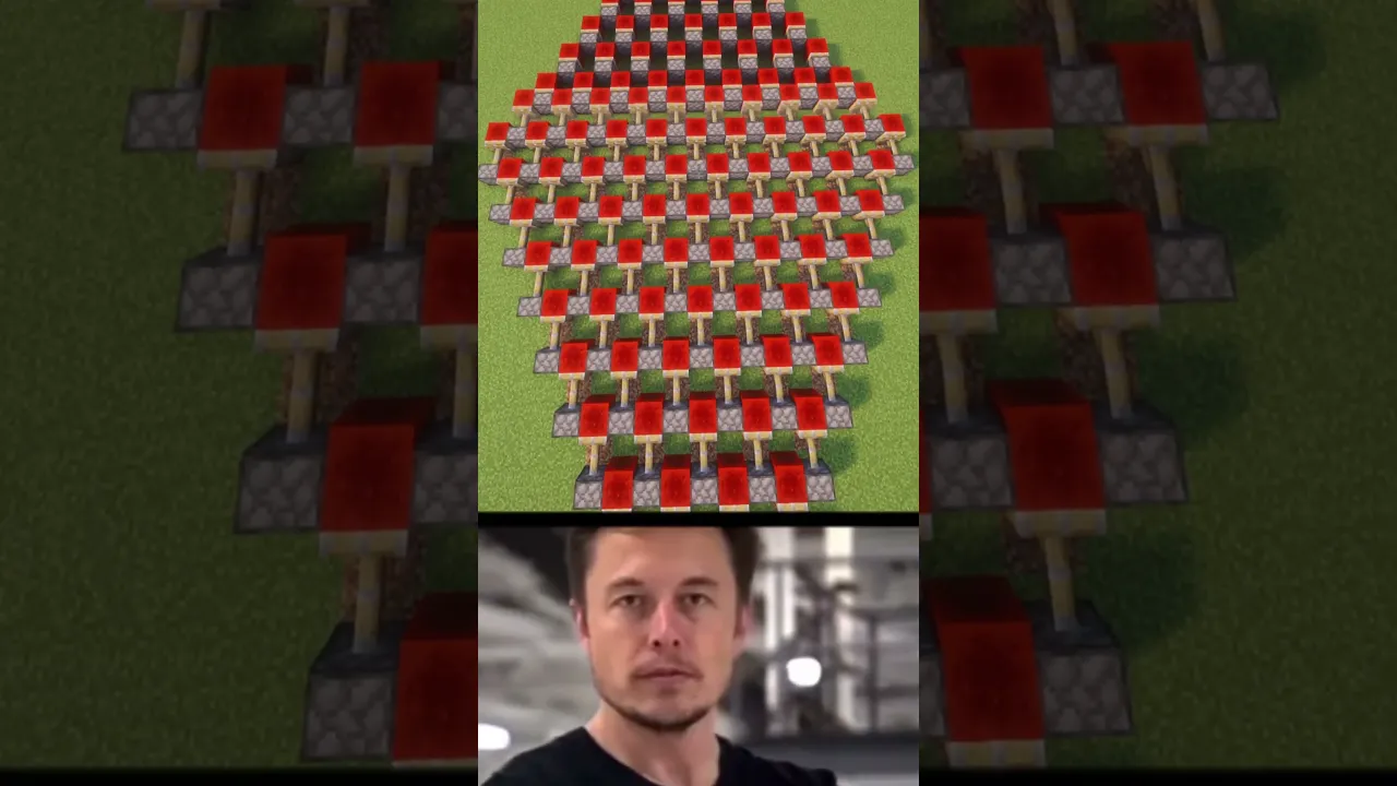 elon... #minecraft