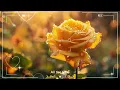 [Lyrics] Timeless songs of 80s 90s 💖 All Time Favorite Hits Songs 💕 Romantic Old Love Songs Playlist