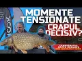 Download Lagu Momente TENSIONATE, Crapul DECISIV? in FINALA Campoinatului HOOK Carp Baits by Genes Seniori 2025