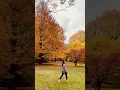 Download Lagu Indah ya musim gugur Di Australia #autumn #Mtwilson #musimgugur #autumnwalk #bestplace  #travelvlog