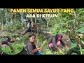 Download Lagu PANEN SEMUA JENIS SAYUR YANG ADA DI KEBUN DAN LANGSUNG DI MASAK