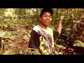 Download Lagu MIKAT CUCAK IJO MINI DAN CUCAK RANTE/RANTING