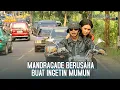 Download Lagu MERASA CURIGA! Mandragade Kasih Saran Ke Mumun - MANDRAGADE | Eps 39 Part 5