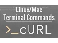 Terminal Tutorial How To Use The cURL Command