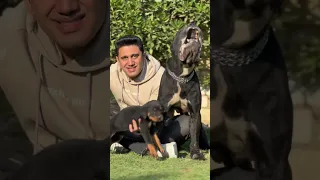 انا اسمي واحدة تاريخ 