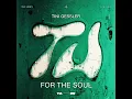 For The Soul - Tini Gessler