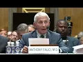 Daily Show Savages Laura Ingraham s Viral Fauci Hearing Antics With Her Own Words