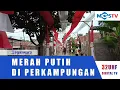 Download Lagu KAIN MERAH PUTIH MEMBENTANG DIKAMPUNG MOYANG GALUGA