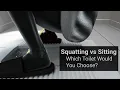 Squatting vs Sitting Which Toilet Would You Choose