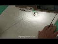 Westalee Snowflakes Tricks