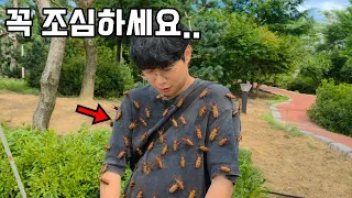 자칫하면 징역5년 벌금5천만원..? 진짜 마지막 기회라고 합니다..