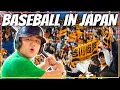 Why You Have to Watch BASEBALL in JAPAN