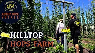 Download How to grow \u0026 when to pick hops! MP3