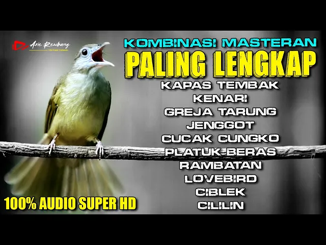 Download MP3 KOMBINASI MASTERAN PALING LENGKAP DAN PALING JERNIH AUDIONYA