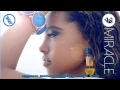 Download Lagu DNZF090 // JJ - MIRACLE (Official Video DNZ RECORDS)