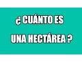 Cuanto es una hectarea Equivalencia en metros cuadrados