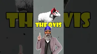 Ark Ovis