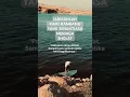 Download Lagu sholatlah sebelum di sholatkan
