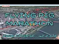 Flying Pig Marathon 2026 3D Course Map 42 2 km - Cincinnati