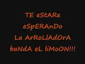 Te estare esperando -la arrolladora banda el limon