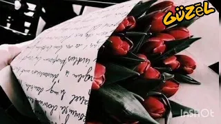 رنة هاتف من مسلسل زواج مصلحة جان فتون من أجمل رنات الموبايل 