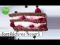 Download Lagu Tort Padurea Neagra Vegan /de post (Fara zahar)
