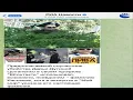 Weakest Ukrainian Soldier