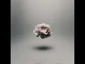 Peace Over Anxiety - Savannah Locke
